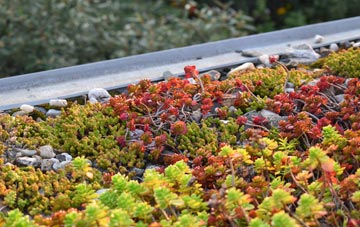 the cost of Bucks Green green roof installation