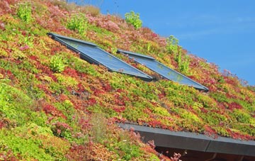 Bucks Green living roof systems