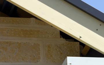 soffit repair Bucks Green